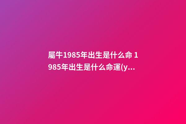 屬牛1985年出生是什么命 1985年出生是什么命運(yùn)勢如何 1985年出生的人是什么命